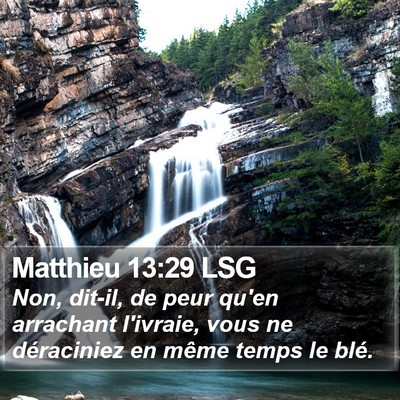 Matthieu 13:29 LSG Bible Verse Image