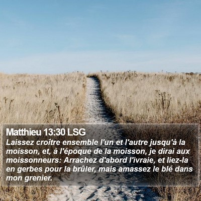 Matthieu 13:30 LSG Bible Verse Image