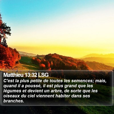 Matthieu 13:32 LSG Bible Verse Image