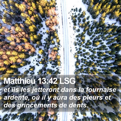 Matthieu 13:42 LSG Bible Verse Image