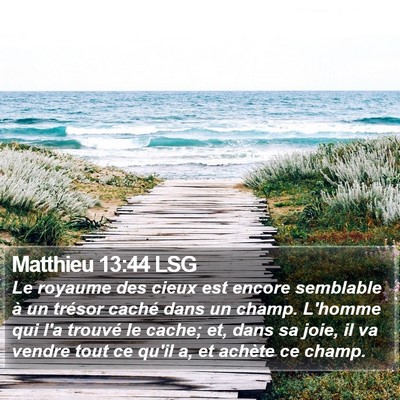 Matthieu 13:44 LSG Bible Verse Image