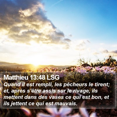 Matthieu 13:48 LSG Bible Verse Image