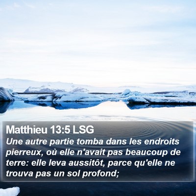 Matthieu 13:5 LSG Bible Verse Image
