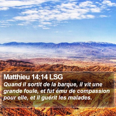 Matthieu 14:14 LSG Bible Verse Image