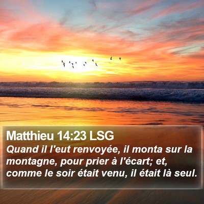 Matthieu 14:23 LSG Bible Verse Image