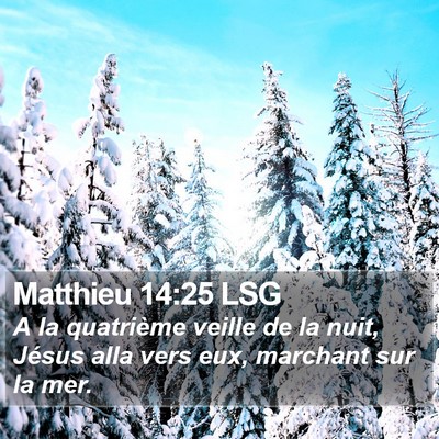 Matthieu 14:25 LSG Bible Verse Image