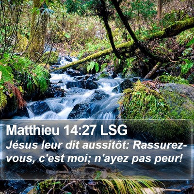Matthieu 14:27 LSG Bible Verse Image