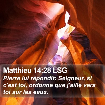 Matthieu 14:28 LSG Bible Verse Image