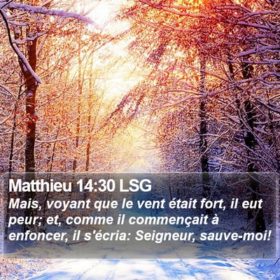 Matthieu 14:30 LSG Bible Verse Image