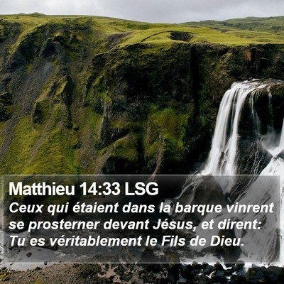 Matthieu 14:33 LSG Bible Verse Image