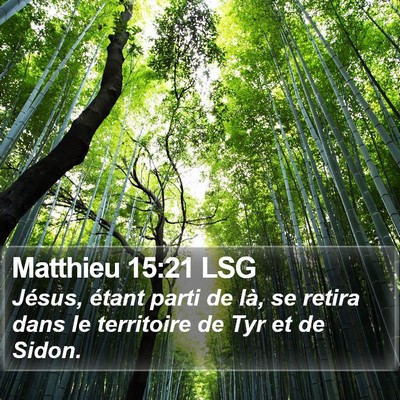 Matthieu 15:21 LSG Bible Verse Image