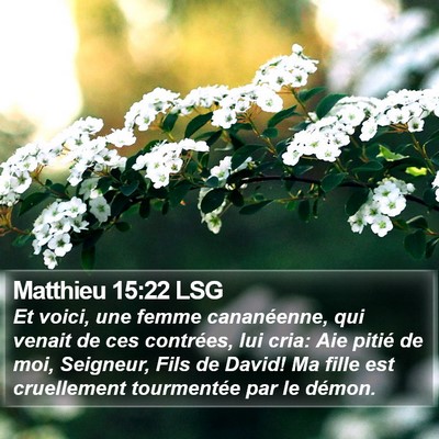 Matthieu 15:22 LSG Bible Verse Image