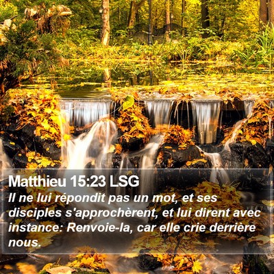Matthieu 15:23 LSG Bible Verse Image