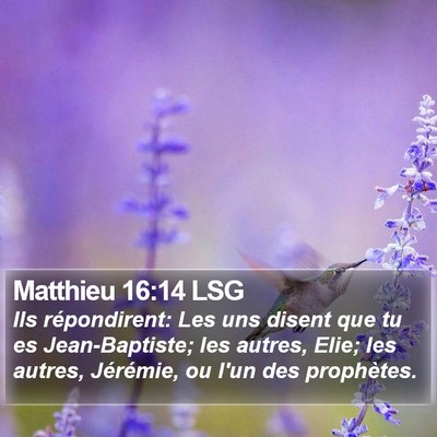 Matthieu 16:14 LSG Bible Verse Image