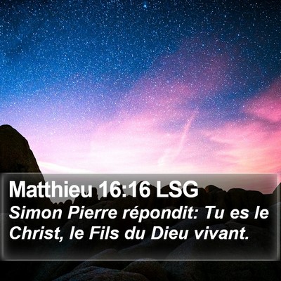 Matthieu 16:16 LSG Bible Verse Image