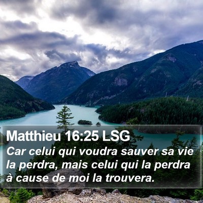 Matthieu 16:25 LSG Bible Verse Image