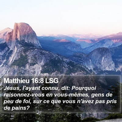 Matthieu 16:8 LSG Bible Verse Image