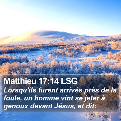 Matthieu 17:14 LSG Bible Verse Image