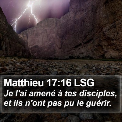 Matthieu 17:16 LSG Bible Verse Image