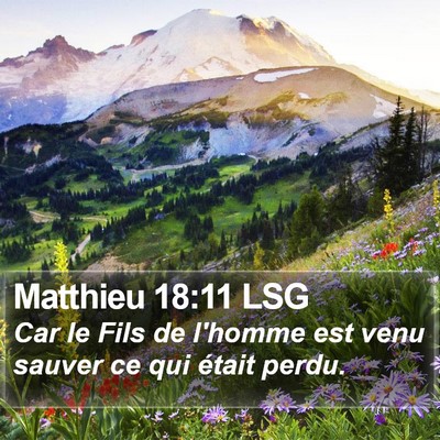 Matthieu 18:11 LSG Bible Verse Image