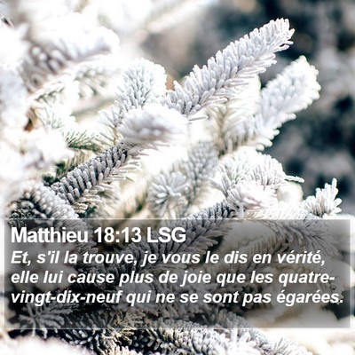 Matthieu 18:13 LSG Bible Verse Image