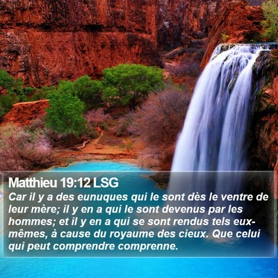 Matthieu 19:12 LSG Bible Verse Image