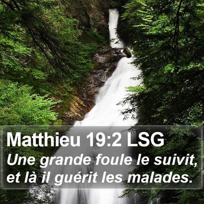 Matthieu 19:2 LSG Bible Verse Image