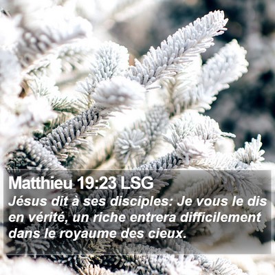 Matthieu 19:23 LSG Bible Verse Image