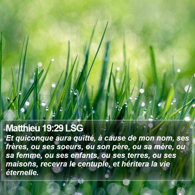 Matthieu 19:29 LSG Bible Verse Image