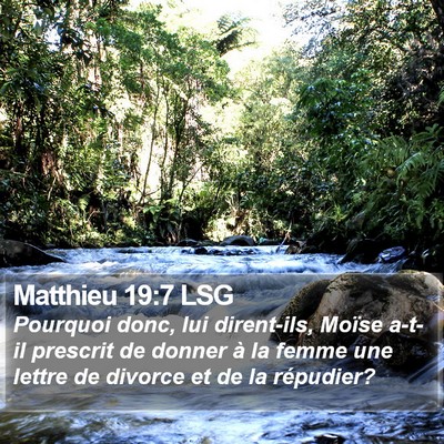 Matthieu 19:7 LSG Bible Verse Image