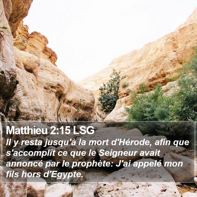 Matthieu 2:15 LSG Bible Verse Image