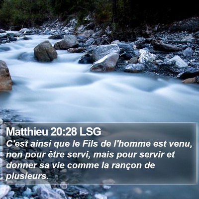 Matthieu 20:28 LSG Bible Verse Image