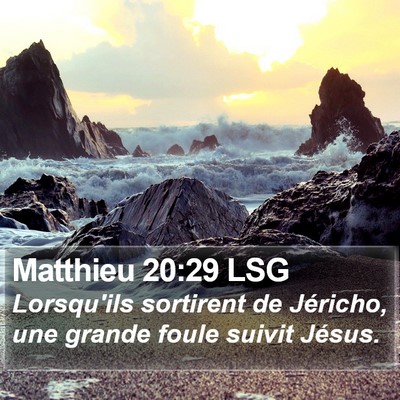 Matthieu 20:29 LSG Bible Verse Image
