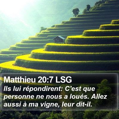 Matthieu 20:7 LSG Bible Verse Image