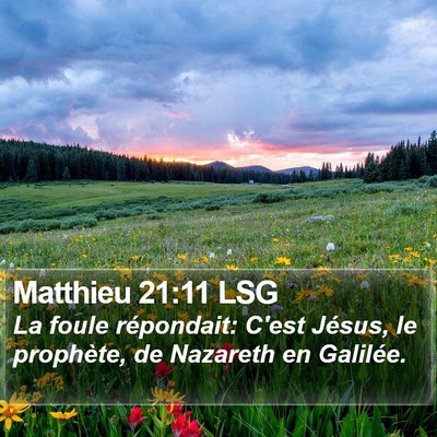 Matthieu 21:11 LSG Bible Verse Image