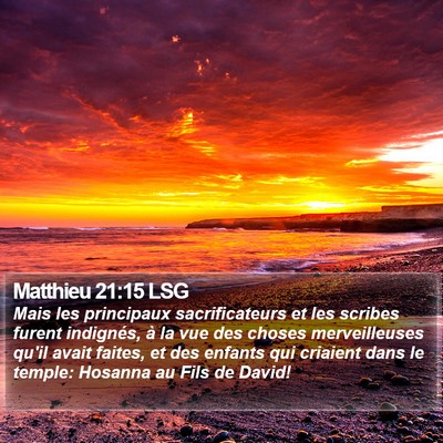 Matthieu 21:15 LSG Bible Verse Image