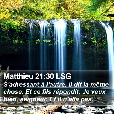 Matthieu 21:30 LSG Bible Verse Image