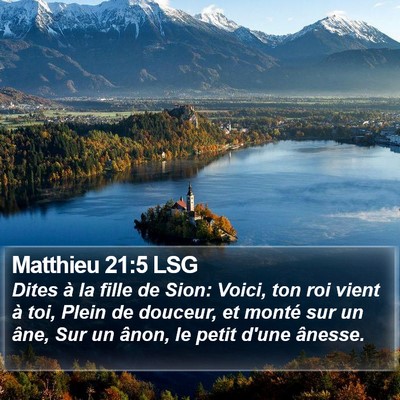 Matthieu 21:5 LSG Bible Verse Image