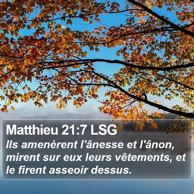 Matthieu 21:7 LSG Bible Verse Image