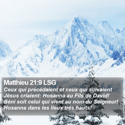 Matthieu 21:9 LSG Bible Verse Image