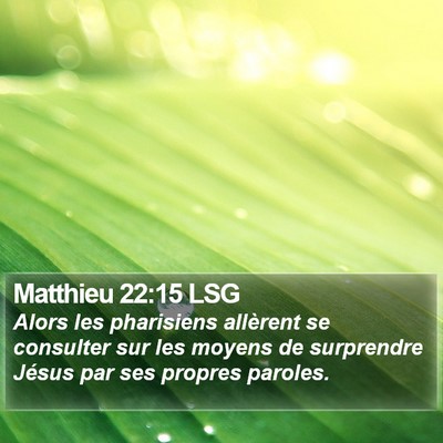Matthieu 22:15 LSG Bible Verse Image