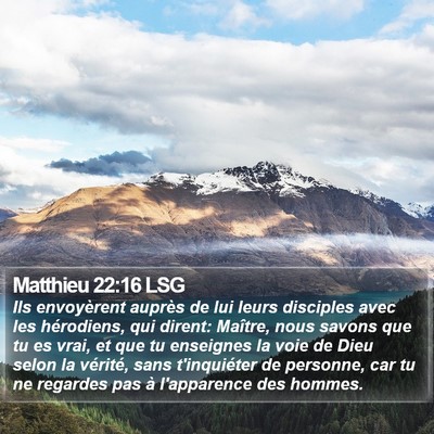 Matthieu 22:16 LSG Bible Verse Image