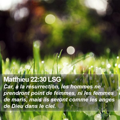 Matthieu 22:30 LSG Bible Verse Image