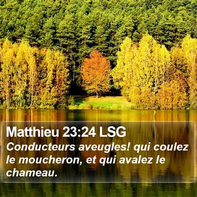 Matthieu 23:24 LSG Bible Verse Image