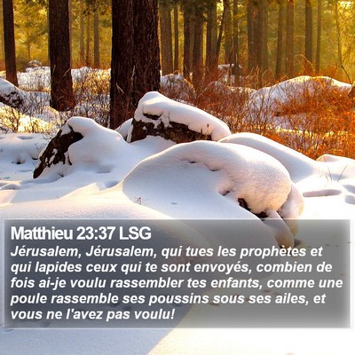 Matthieu 23:37 LSG Bible Verse Image