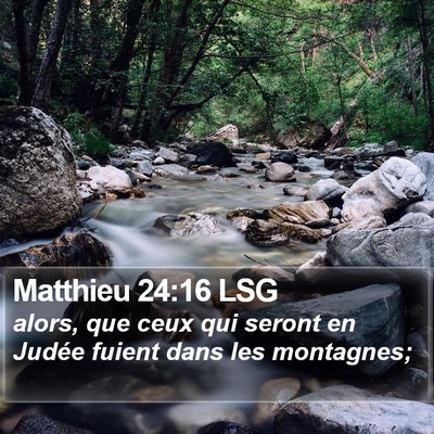 Matthieu 24:16 LSG Bible Verse Image