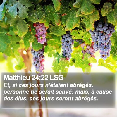 Matthieu 24:22 LSG Bible Verse Image