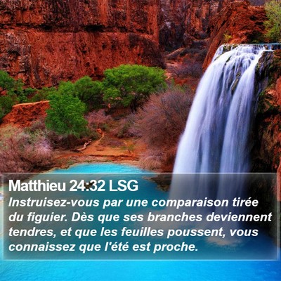 Matthieu 24:32 LSG Bible Verse Image