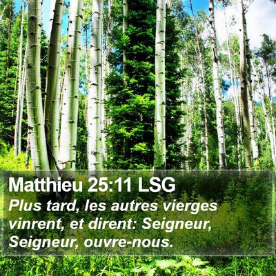 Matthieu 25:11 LSG Bible Verse Image