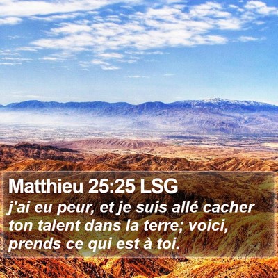 Matthieu 25:25 LSG Bible Verse Image